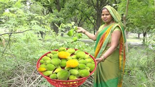 धरती की सबसे पावरफुल ककोड़ा आलू की टेस्टी सब्जी उल्टा रोटी के साथ मिल जाये तो खाने का मजा आ जाये