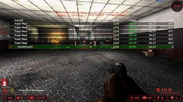 Killing Floor Mods: Freezing Zed and Shattering Scream