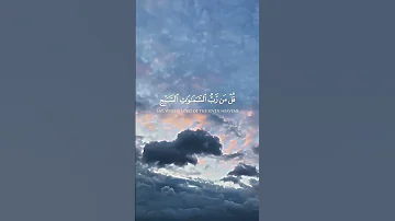 سورة المؤمنون بصوت الشيخ ياسر الدوسري 