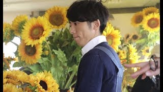 高橋一生、花に囲まれた撮影シーン／「ディアボーテHIMAWARI」TVCM　メイキング