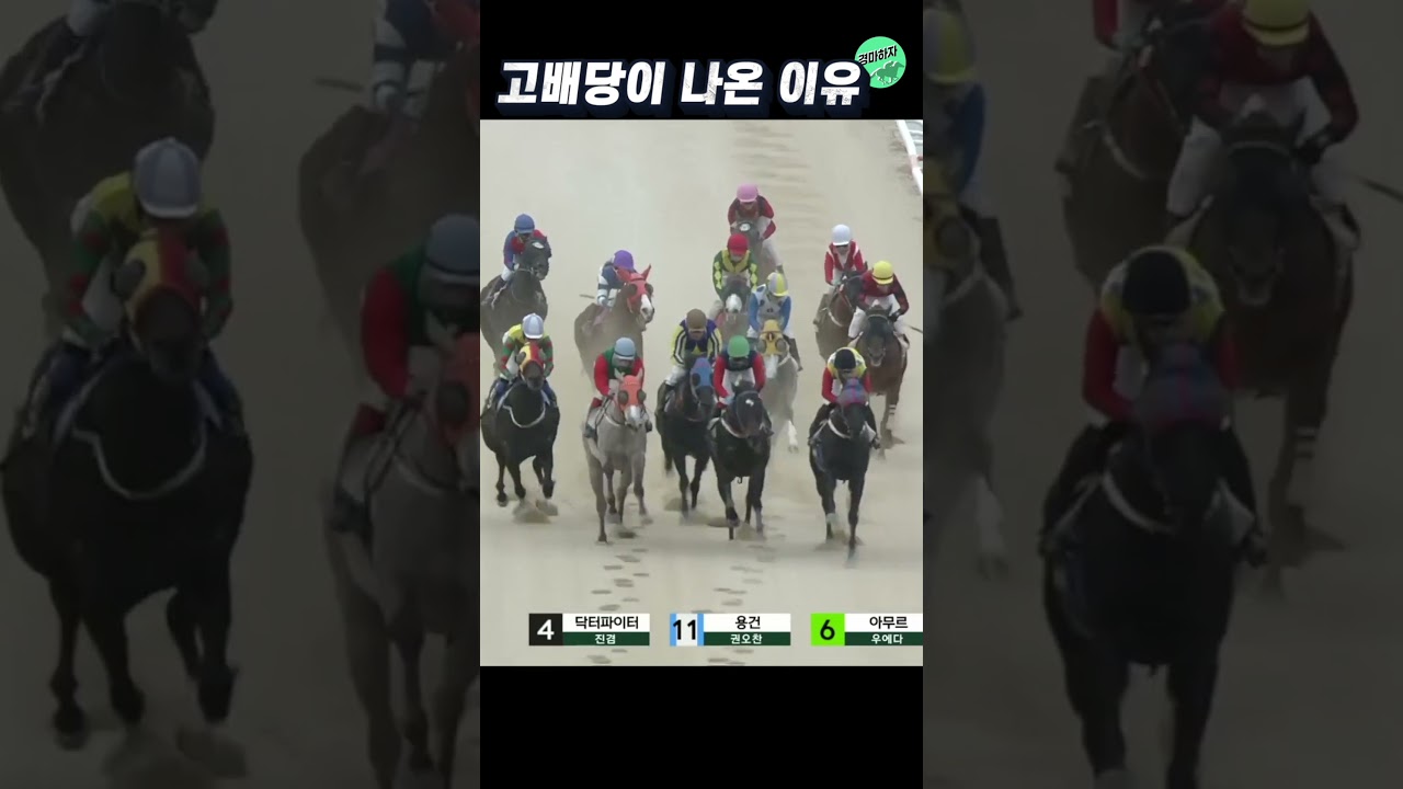 초고배당 12694.2배가 터진이유! #shorts