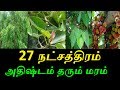 27 நட்சத்திரம் அதிஷ்டம் தரும் மரம்/27 stars lucky tree-Siththarkal Manth...