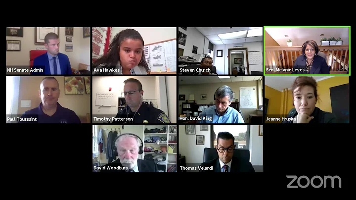 REMOTE MEETING OF COMMISSION ON PRETRIAL DETENTION...
