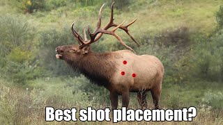 Celebrity Aaron Davidson - Gunwerks - Best Elk Cartridge Profile