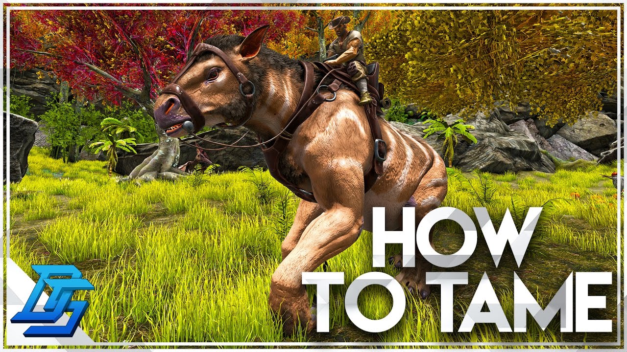 How to tame a chalicotherium