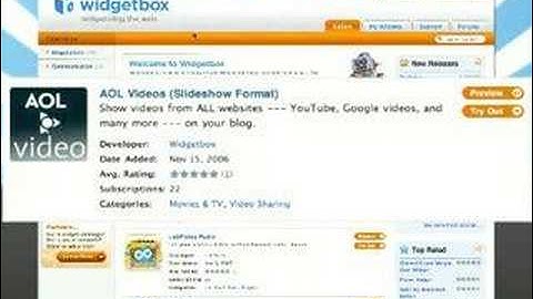 What are Web Widgets? (3/5)