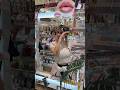 O JAPÃO TEM UM CAMARIM PUBLICO com Make e Chapinha de GRAÇA?🇯🇵😱 #japan #beauty