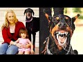 This Family Adopted A DOBERMAN, Days later, A SCREAM Was Heard