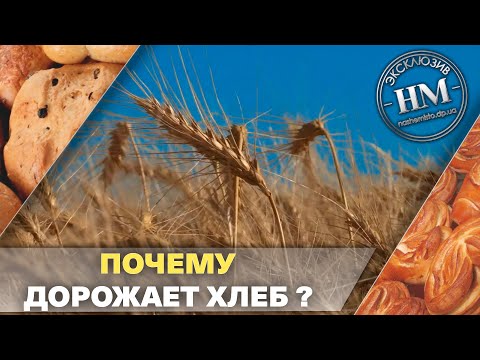 Цены на хлеб повысились – в чем причина?
