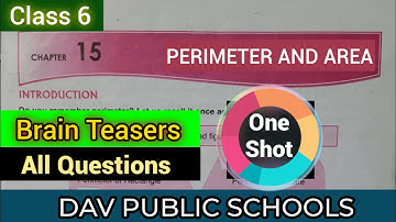 DAV class 6 maths chapter 15 brain teasers  - All Questions Solved