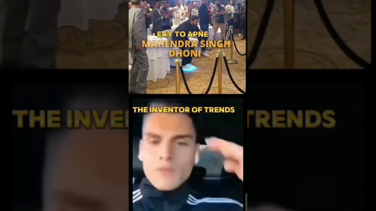 Our MSD | Inventor of trends | 