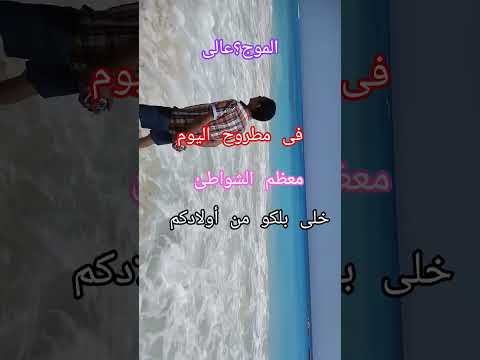 الاشتراك اكسبلور فضلا وليس امرا الموج عالى والسحب شديد خلى بلكو من احبابكم ونبهو عليهم 