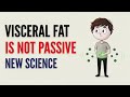 Your Organs Are Talking to Your Fat (Here's What They Say)
