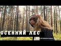 Осенний лес // материалы для флористических аранжировок