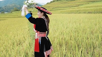Hát Lượn Dao Đỏ Hay ll Tiếng Hát Dân Ca Dân Tộc Dao Đỏ ll ìu miền páo dung...