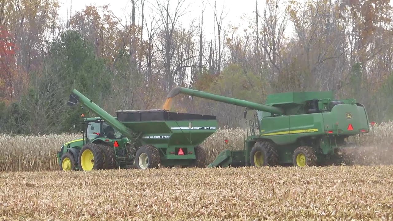 Harvest 2020 John Deere 9560STS Combine Harvesting Corn Corn 