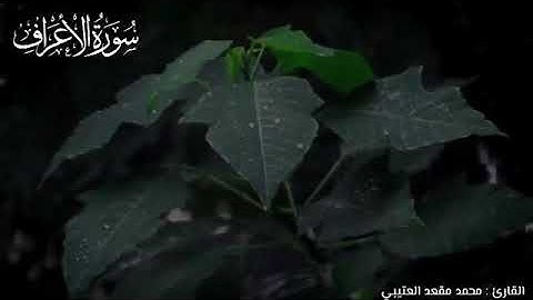 القارئ : محمد العتيبي سورة (الأعراف)
