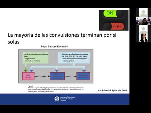 Estado Epiléptico Refractario
