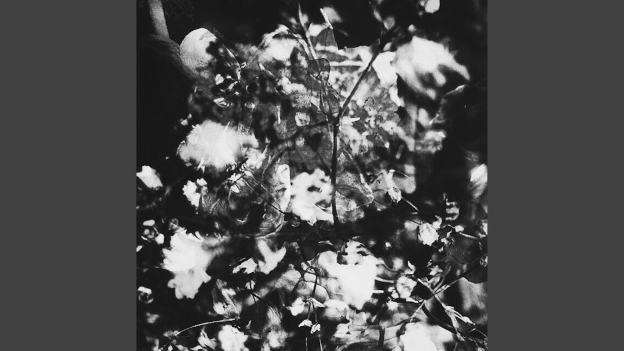 Watch laces on YouTube Watch laces on YouTube