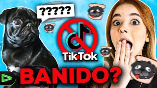 DOENÇA DO TIKTOK? LEVEI UMA BRONCA QUE NÃO MERECIA! - PÃO COM MORTADELA