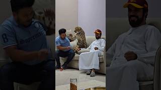 Cheetah Dangerous Attack on My Face | Nouman Hassan |