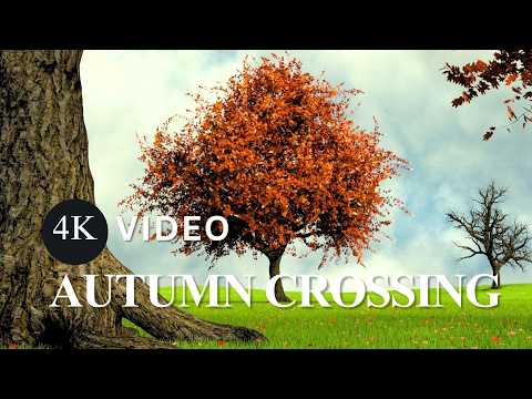 Warm Autumn Vibe | 2 Hours Beautiful Guitar Music in 4K Nature Visuals