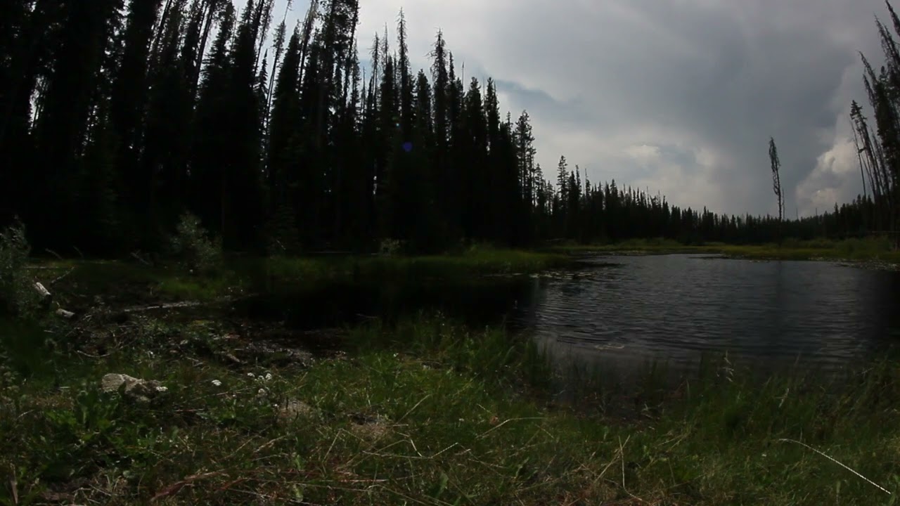 HIKE - Swalwell (Beaver) Lake Loop - Winfield, BC, Canada