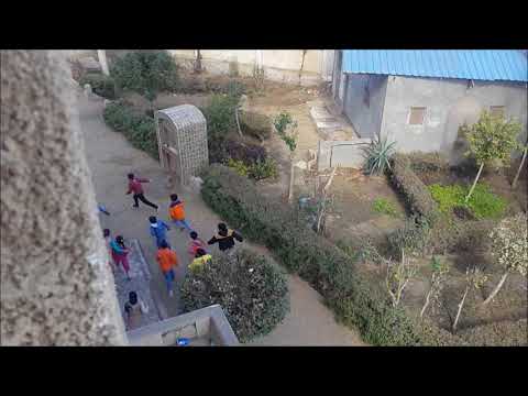 مدرسة الشهيد محمود صلاح فارس بدمليج  المنوفية