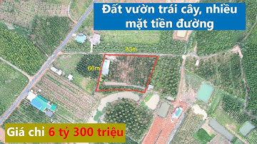 Bán đất vườn trái cây có thổ cư xã Đại Lào