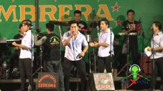 Bienvenido el amor (sensual karicia