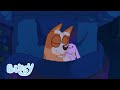 Se Détendre Avec Bluey Bluey Français Chaîne Officielle 