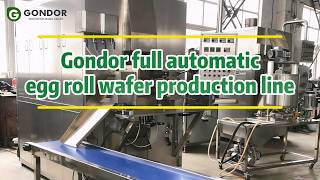 Celebrity 🍫Fully Automatic Wafer Egg Roll Machine with Precision Core Filling#waferrolls #eggrollstreetfood Wealth