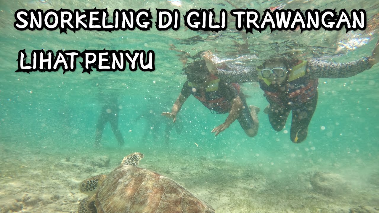 SNORKELING DI GILI TRAWANGAN LOMBOK NTB INDONESIA YouTube