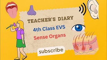 4th Class EVS Teacher