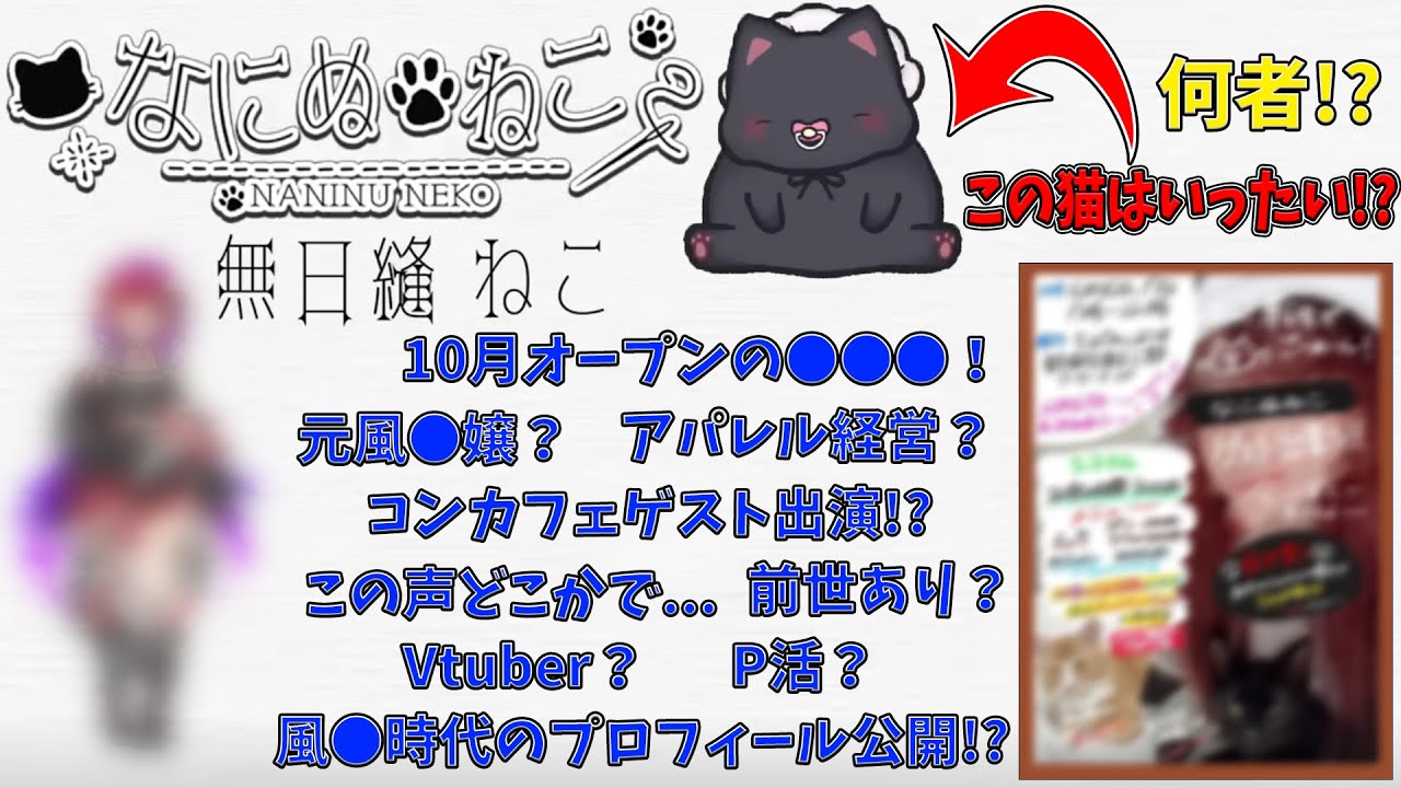 初配信まとめ】無日縫ねことは一体！？【無日縫ねこ / なにぬねこ】#無 