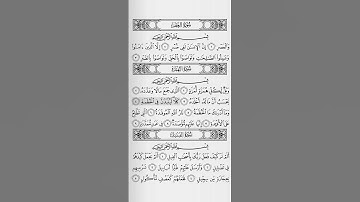 سورة الهمزة - فضيلة الشيخ ياسر الدوسري