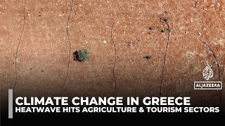 Greece's heatwave hits tourism and agriculture as climate change bites