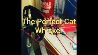 How To Make PERFECT Cat Whisker String Silencers!!!!