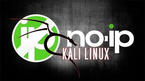 install no ip on kali linux
