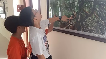 Cột Cờ Hà Nội tại Mũi Cà Mau