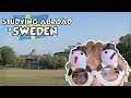 Study Abroad in Sweden - Things You Should Know Before Your Exchange