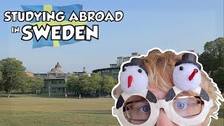 Study Abroad in Sweden - Things You Should Know Before Your Exchange