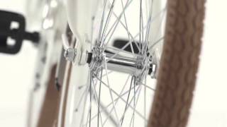 Popal Daily Dutch 24 Inch