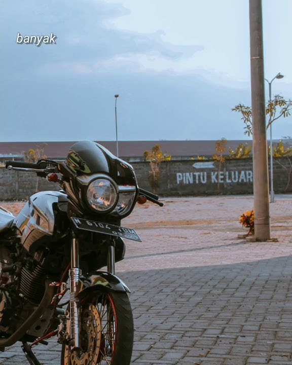 Kata kata anak tiger story wa