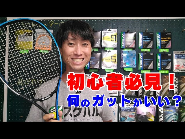 軟式 テニスラケット 初心者 処分セー 替えル 替えよ 楽天市場