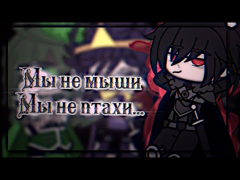 | Мы не