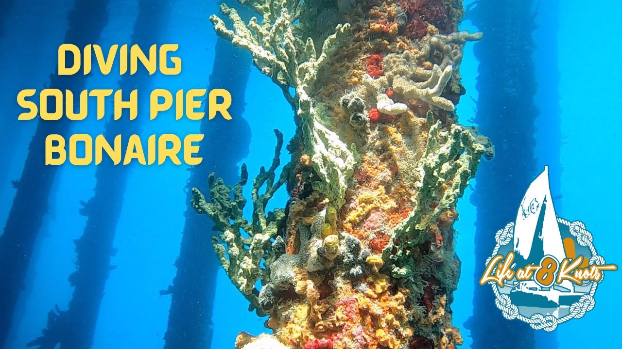Diving Bonaire's South Pier - Dive Friends' Quarterly Clean Up Dive - July 2022