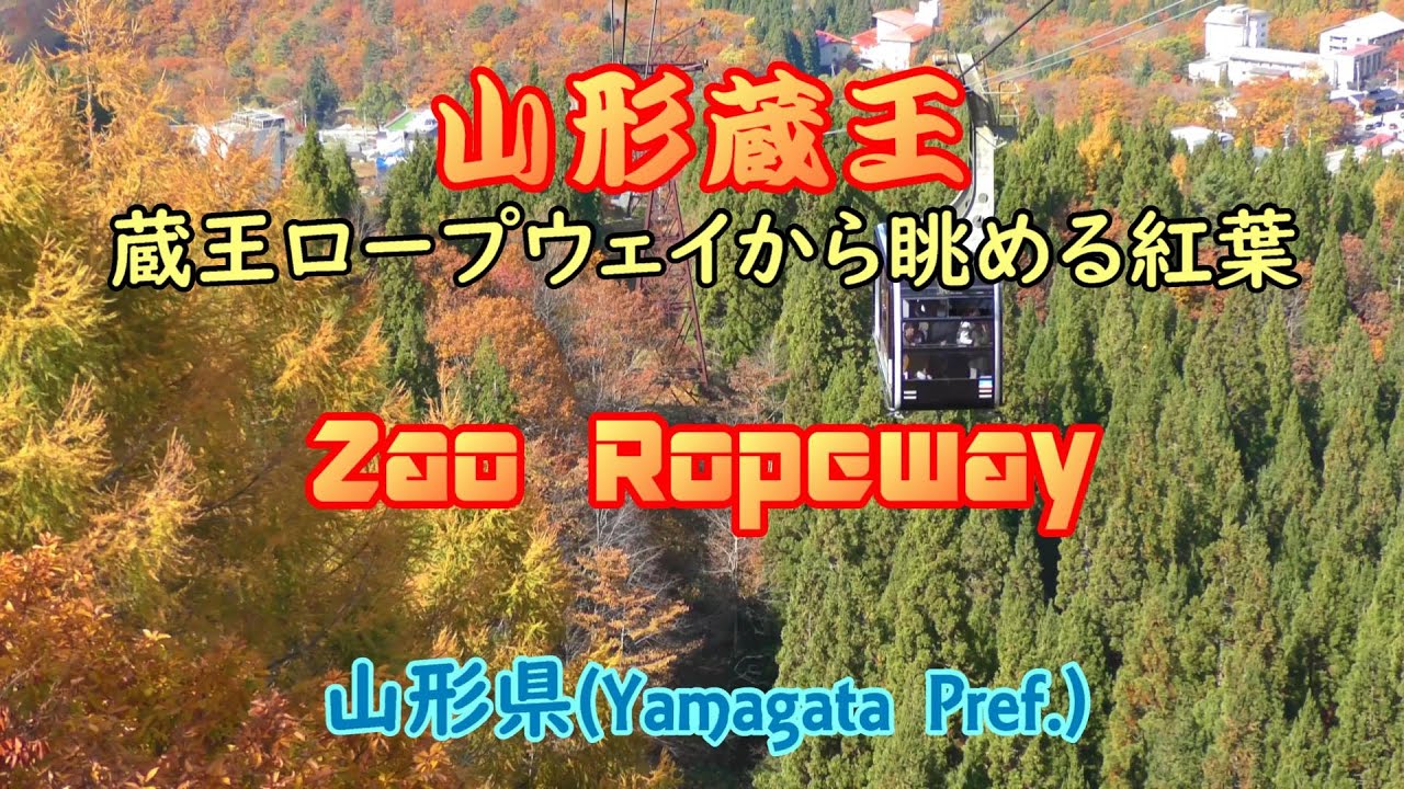 4K【山形蔵王】蔵王ロープウェイから眺める紅葉 View of autumn leaves from Zao Ropeway