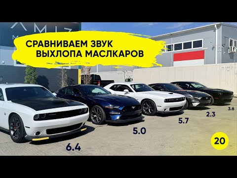 Как должен звучать настоящий маслкар. Ford Mustang vs Dodge Challenger.