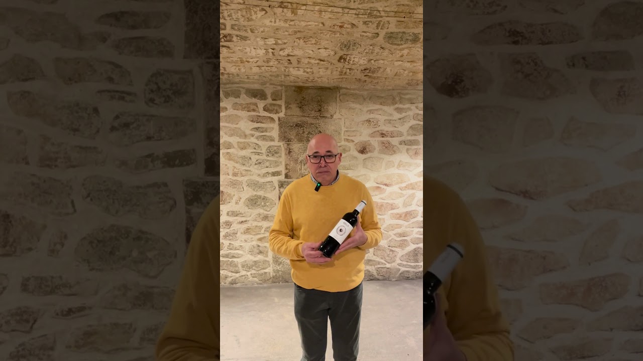 Osca Tinto Joven | Descubre su sabor exclusivo en APER.es 